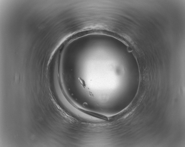 X0000061151118200512022307