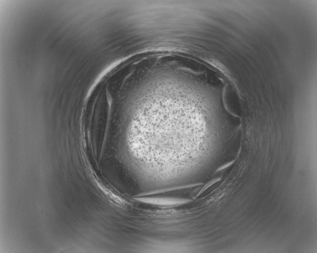 X0000061151120200512022307