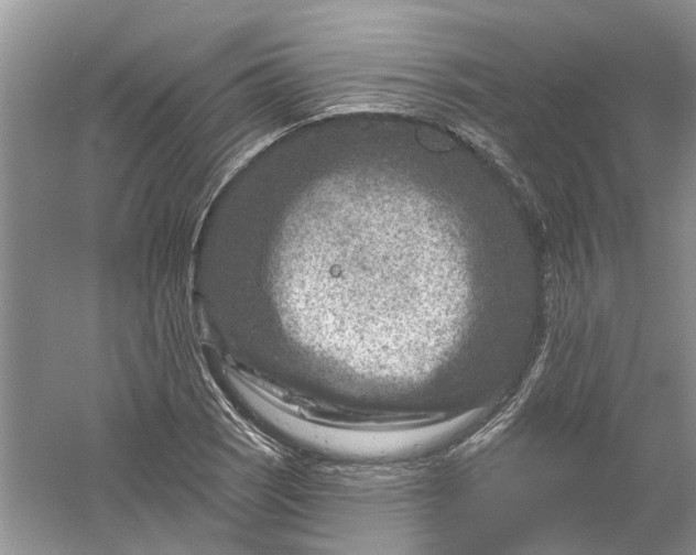 X0000061151121200512022307