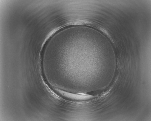 X0000061151122200512022307