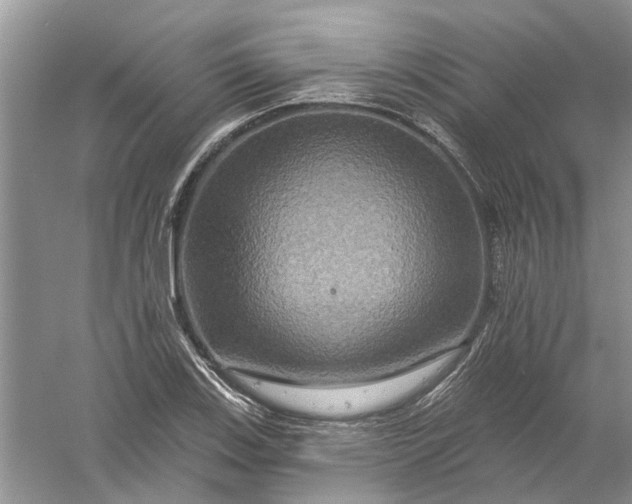 X0000061151123200512022307