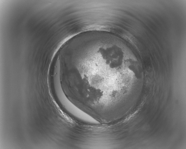 X0000061151125200512022307