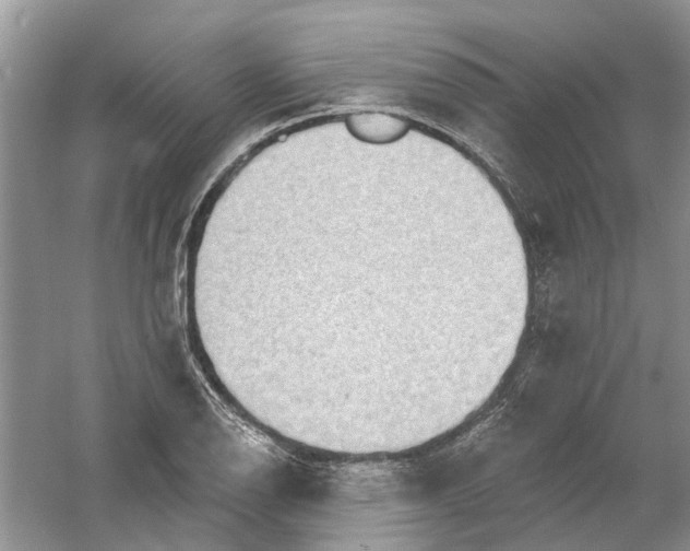 X0000061151126200512022307