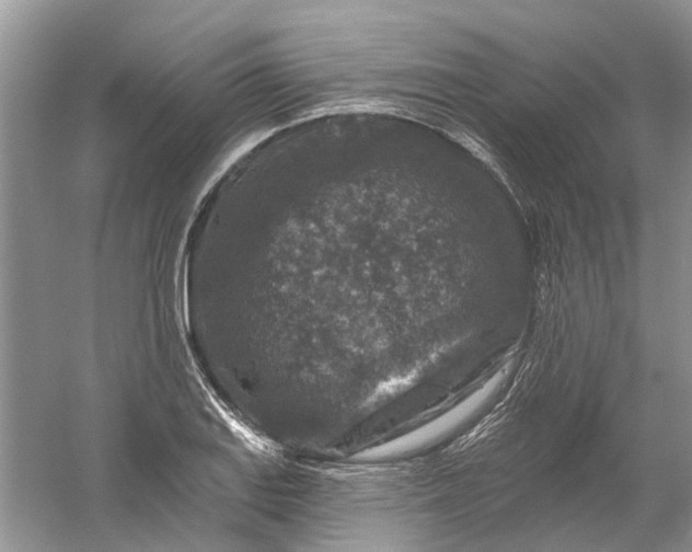 X0000061151127200512022307