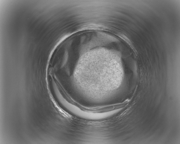 X0000061151128200512022307