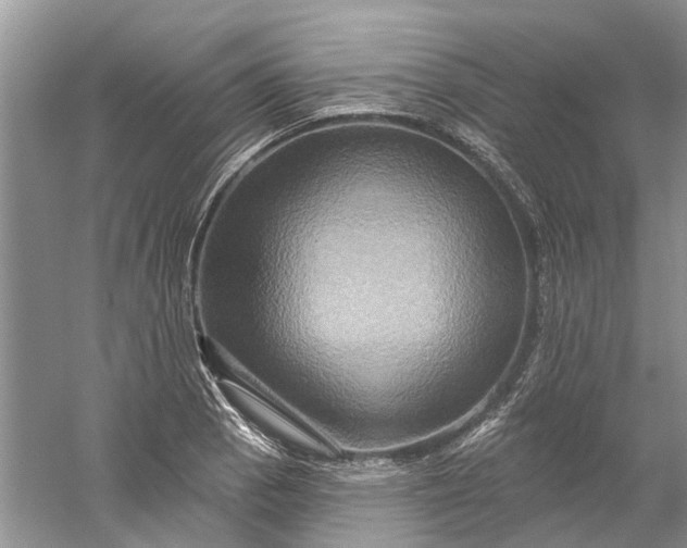 X0000061151129200512022307