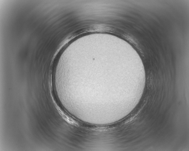 X0000061151130200512022307