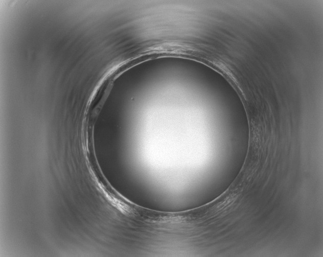 X0000061151131200512022307