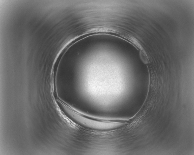 X0000061151132200512022307