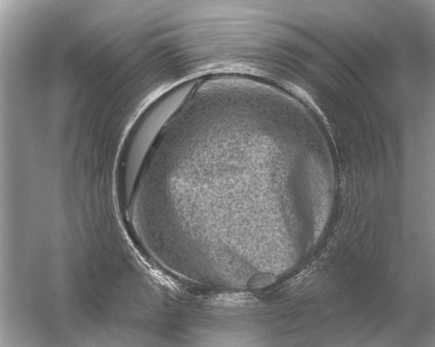 X0000061151133200512022307