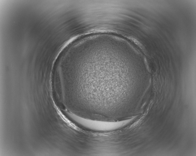 X0000061151134200512022307