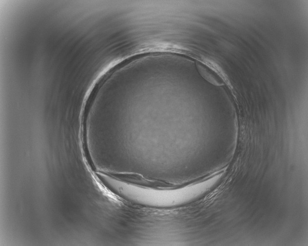 X0000061151136200512022307