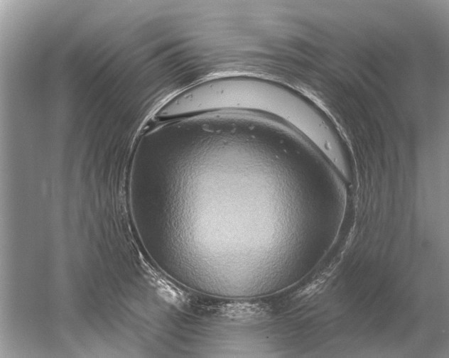 X0000061151137200512022307