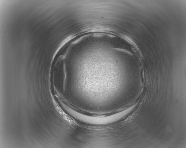 X0000061151138200512022307