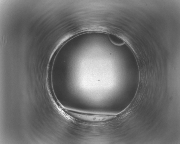 X0000061151139200512022307