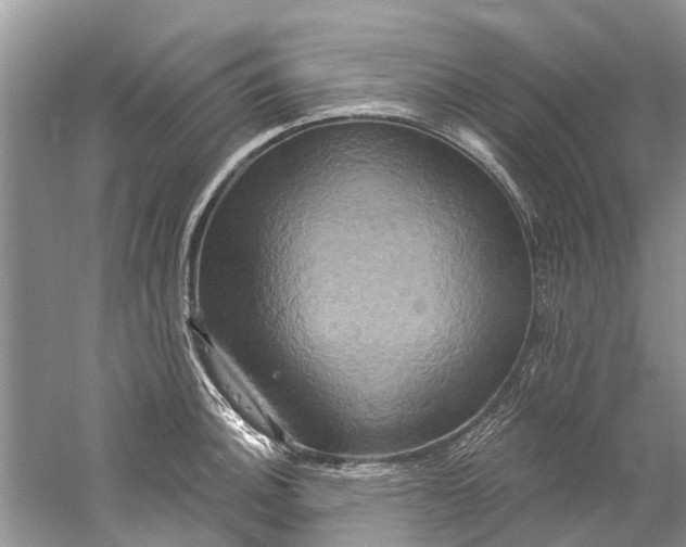 X0000061151140200512022307