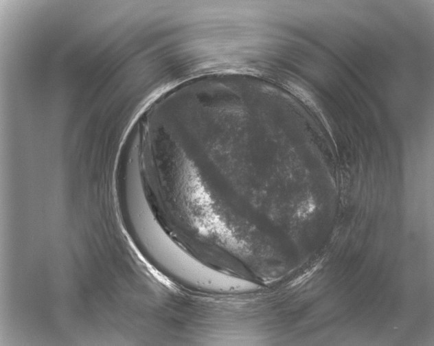 X0000061151141200512022307