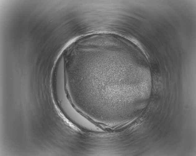 X0000061151142200512022307