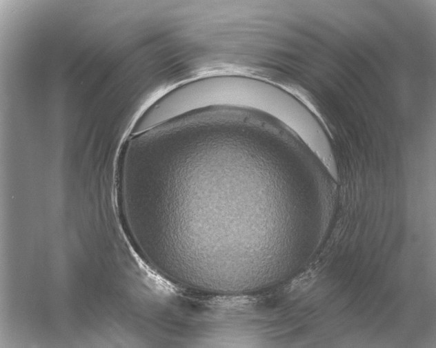 X0000061151143200512022307