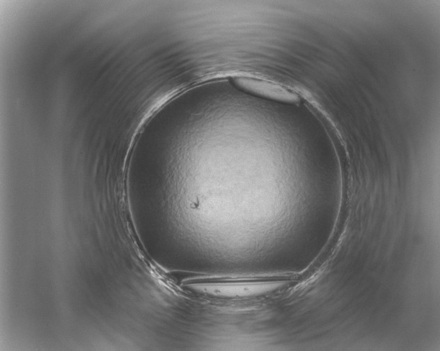 X0000061151145200512022307