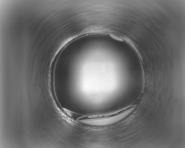 X0000061151147200512022307