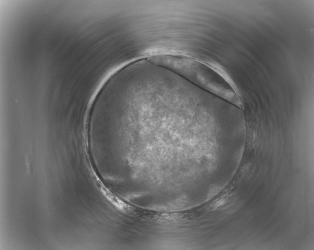 X0000061151148200512022307