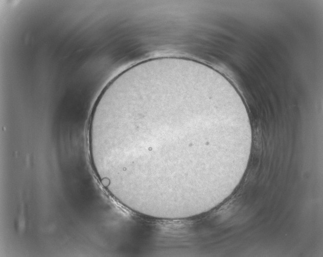 X0000061151150200512022307