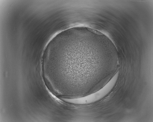 X0000061151151200512022307