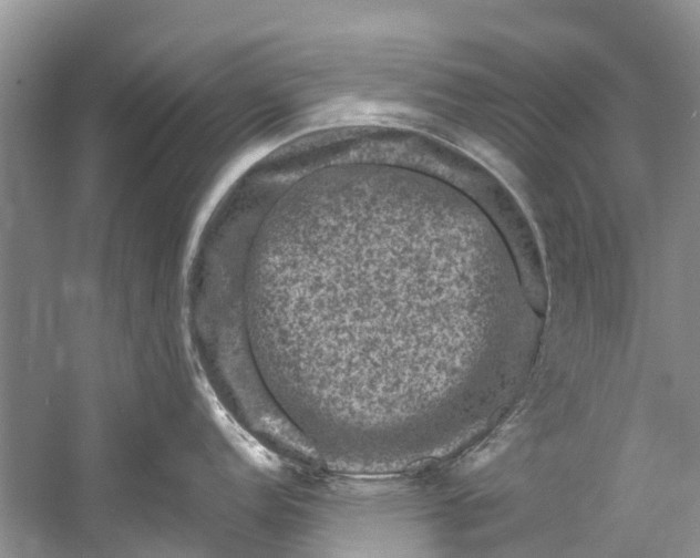 X0000061151152200512022307