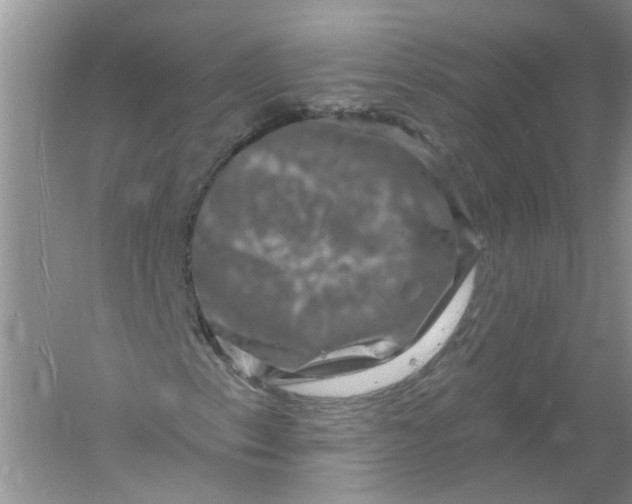 X0000061151153200512022307