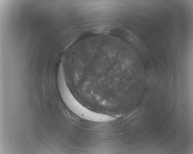 X0000061151154200512022307