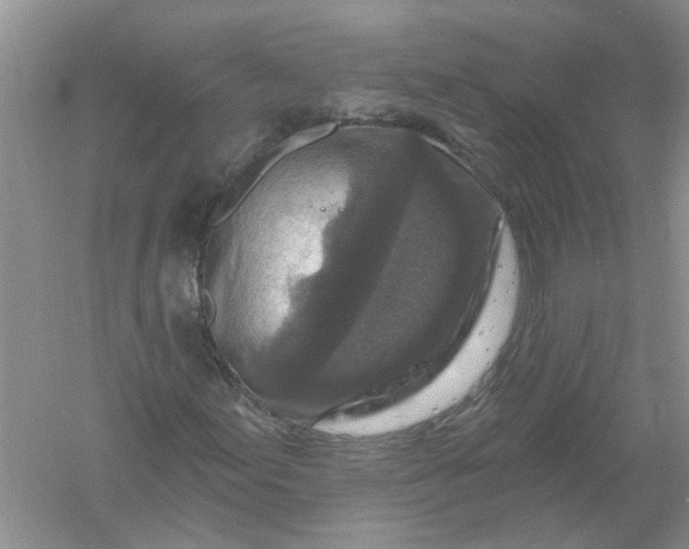 X0000061151155200512022307