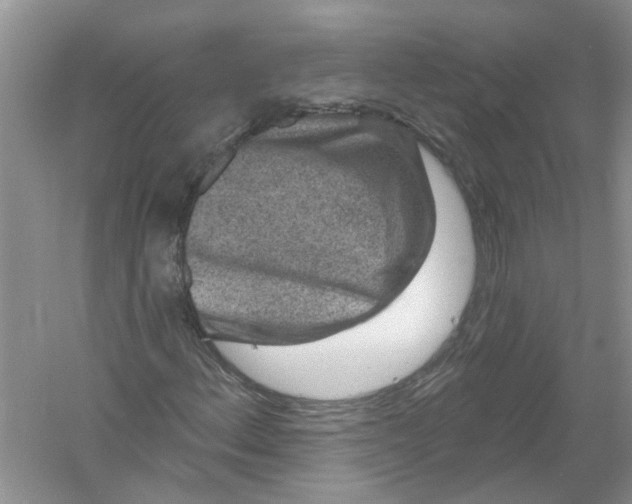 X0000061151156200512022307