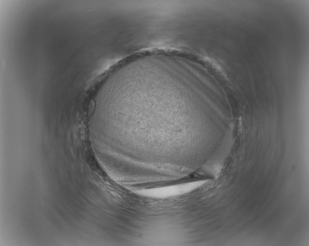 X0000061151159200512022306