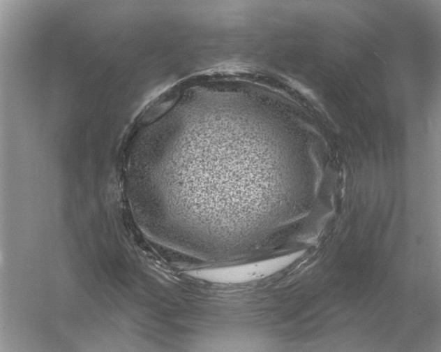 X0000061151160200512022306