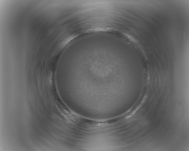 X0000061151161200512022306