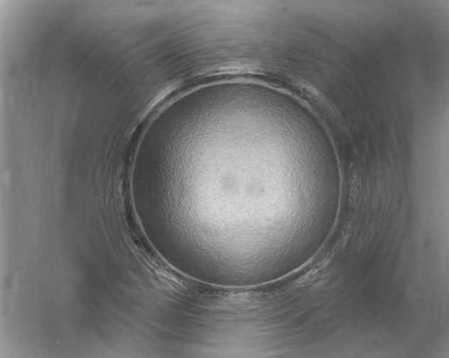 X0000061151162200512022306