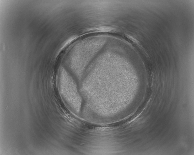 X0000061151163200512022306