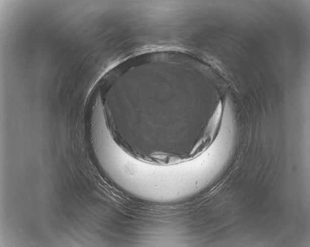 X0000061151165200512022306