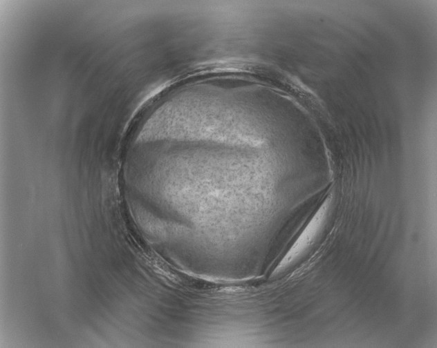 X0000061151166200512022306