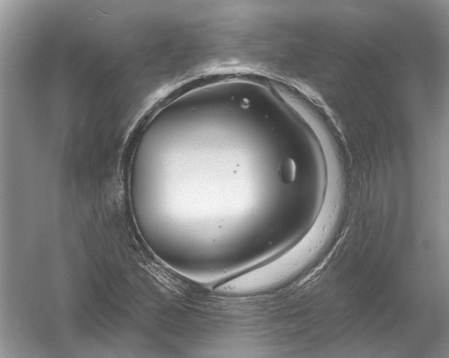 X0000061151167200512022306