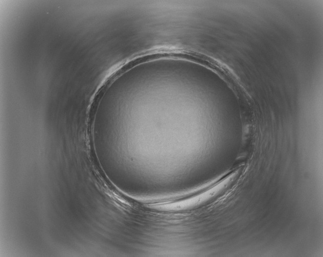 X0000061151168200512022306