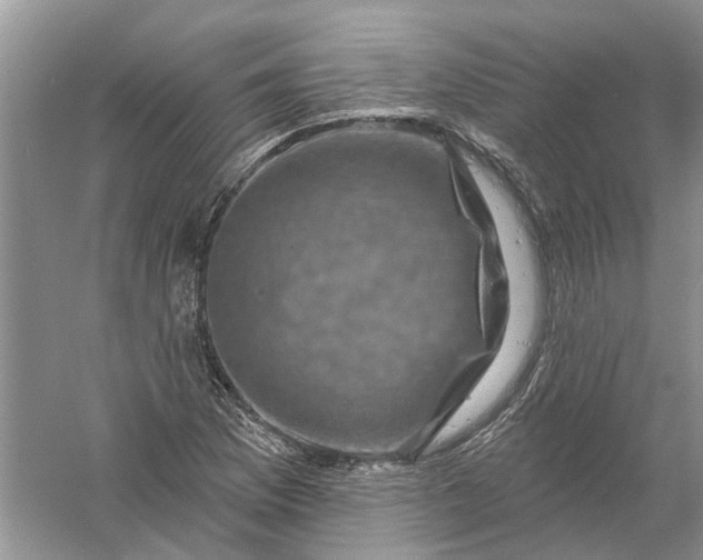 X0000061151169200512022306