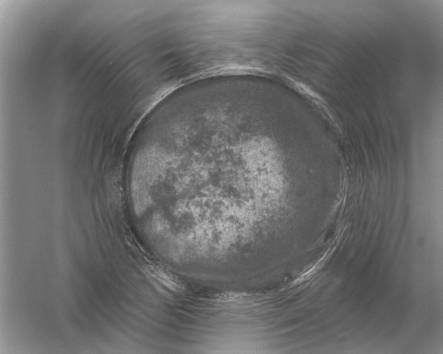 X0000061151170200512022306