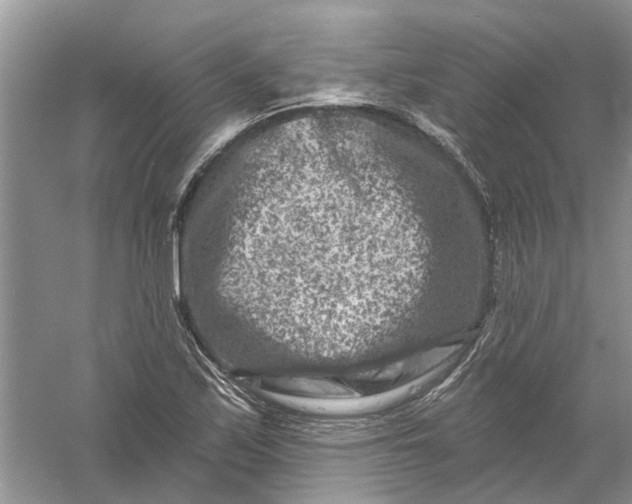 X0000061151171200512022306