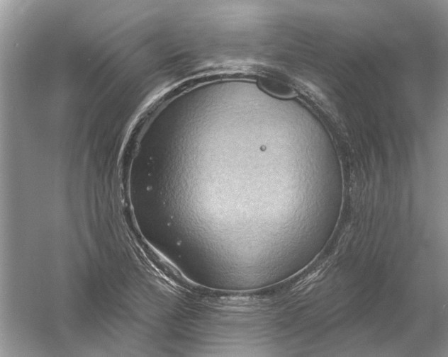 X0000061151172200512022306