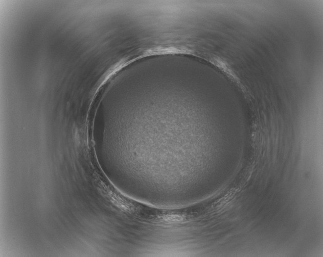 X0000061151173200512022306