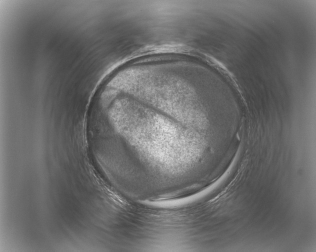 X0000061151174200512022306