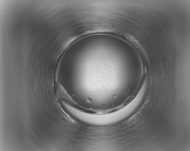 X0000061151177200512022306