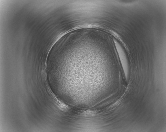 X0000061151178200512022306